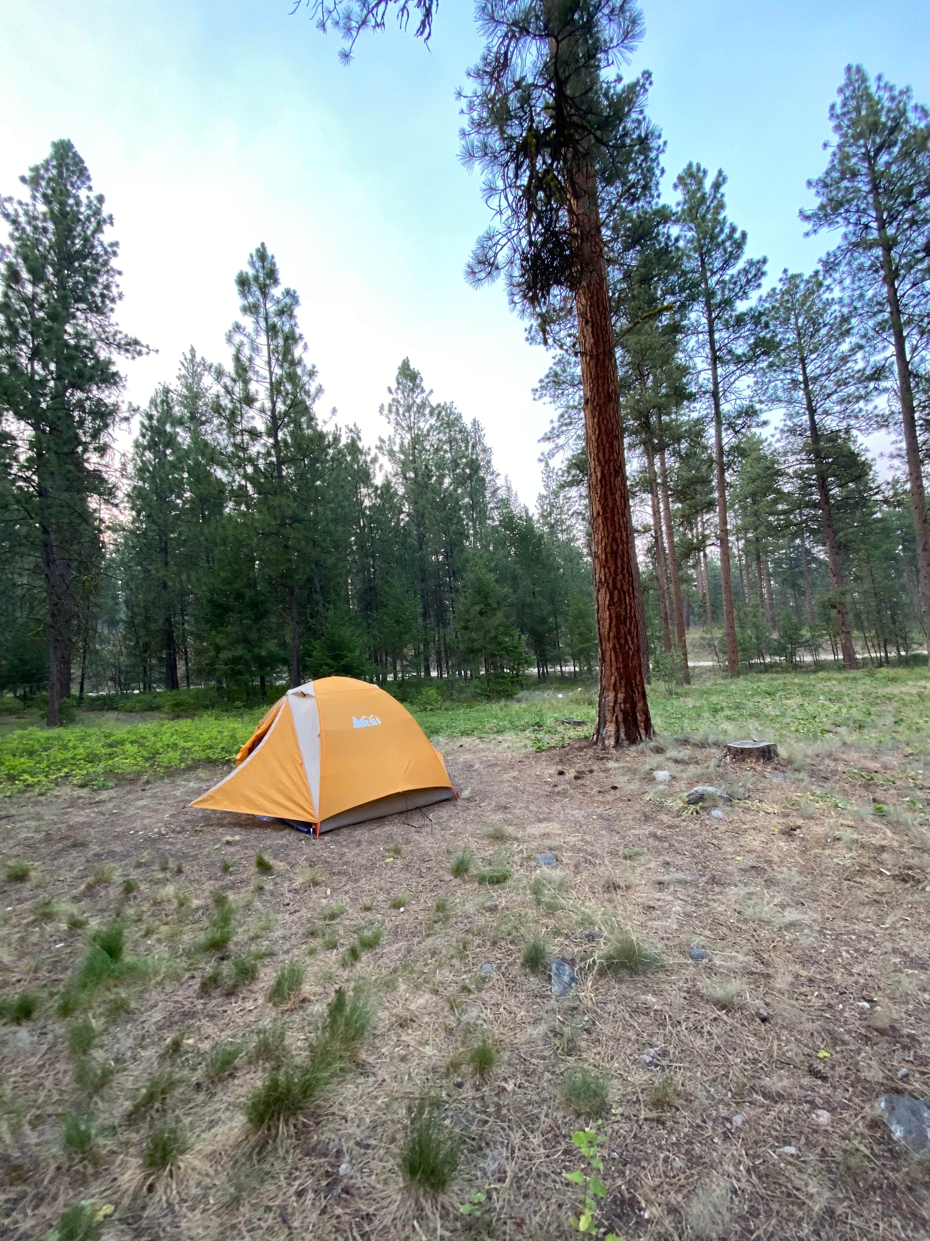 Annie C.'s photo at Charles Waters Campground near Corvallis, MT