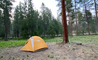 Annie C.'s photo at Charles Waters Campground near Hamilton, MT