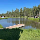 Review photo of Mount Rushmore KOA at Palmer Gulch by Joan , July 12, 2021