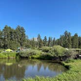 Review photo of Mount Rushmore KOA at Palmer Gulch by Joan , July 12, 2021