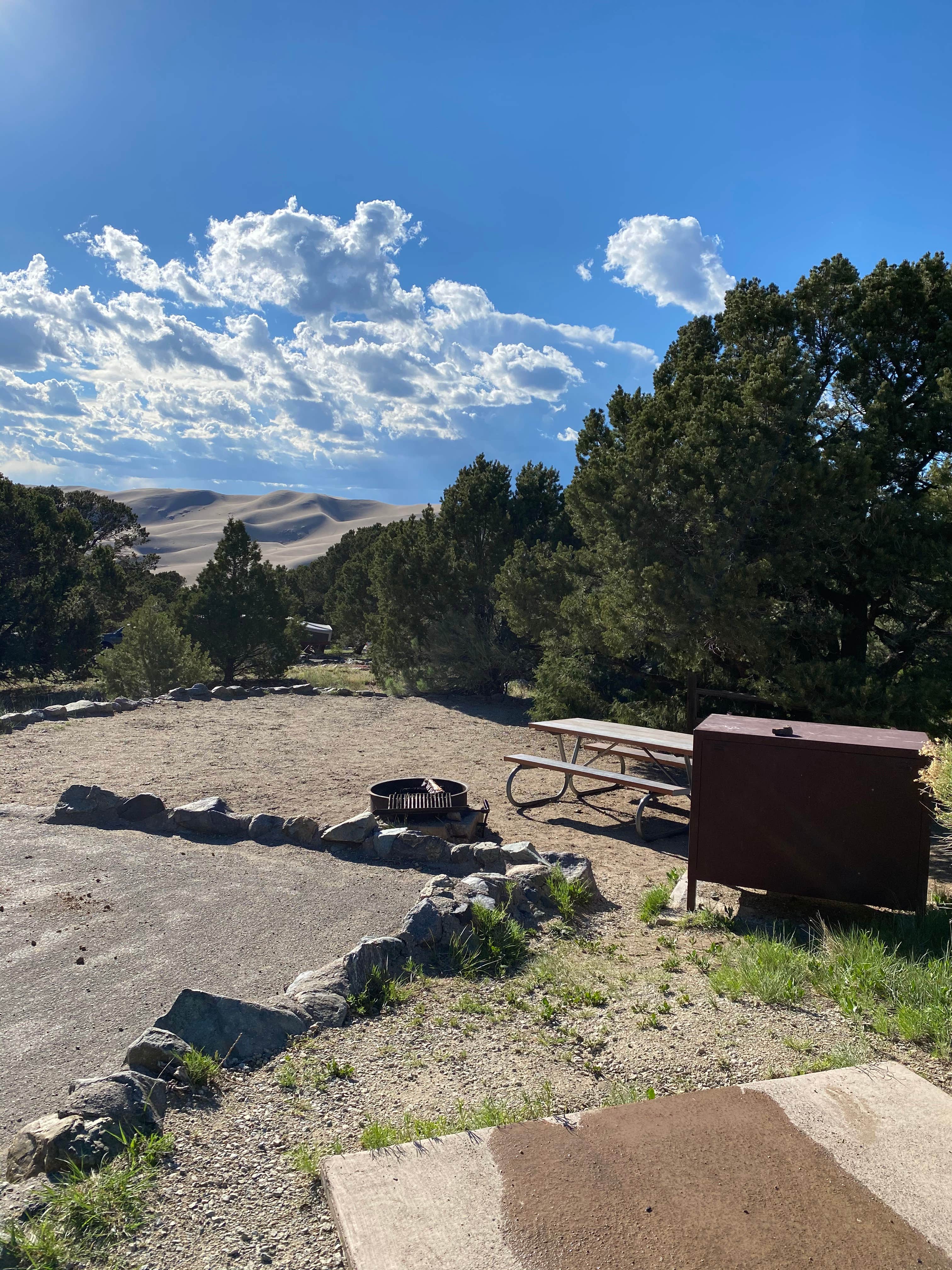 Review of Pinon Flats Campground The Dyrt