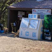 Review photo of Pinon Flats Campground — Great Sand Dunes National Park by Annie C., July 12, 2021