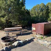 Review photo of Pinon Flats Campground — Great Sand Dunes National Park by Annie C., July 12, 2021
