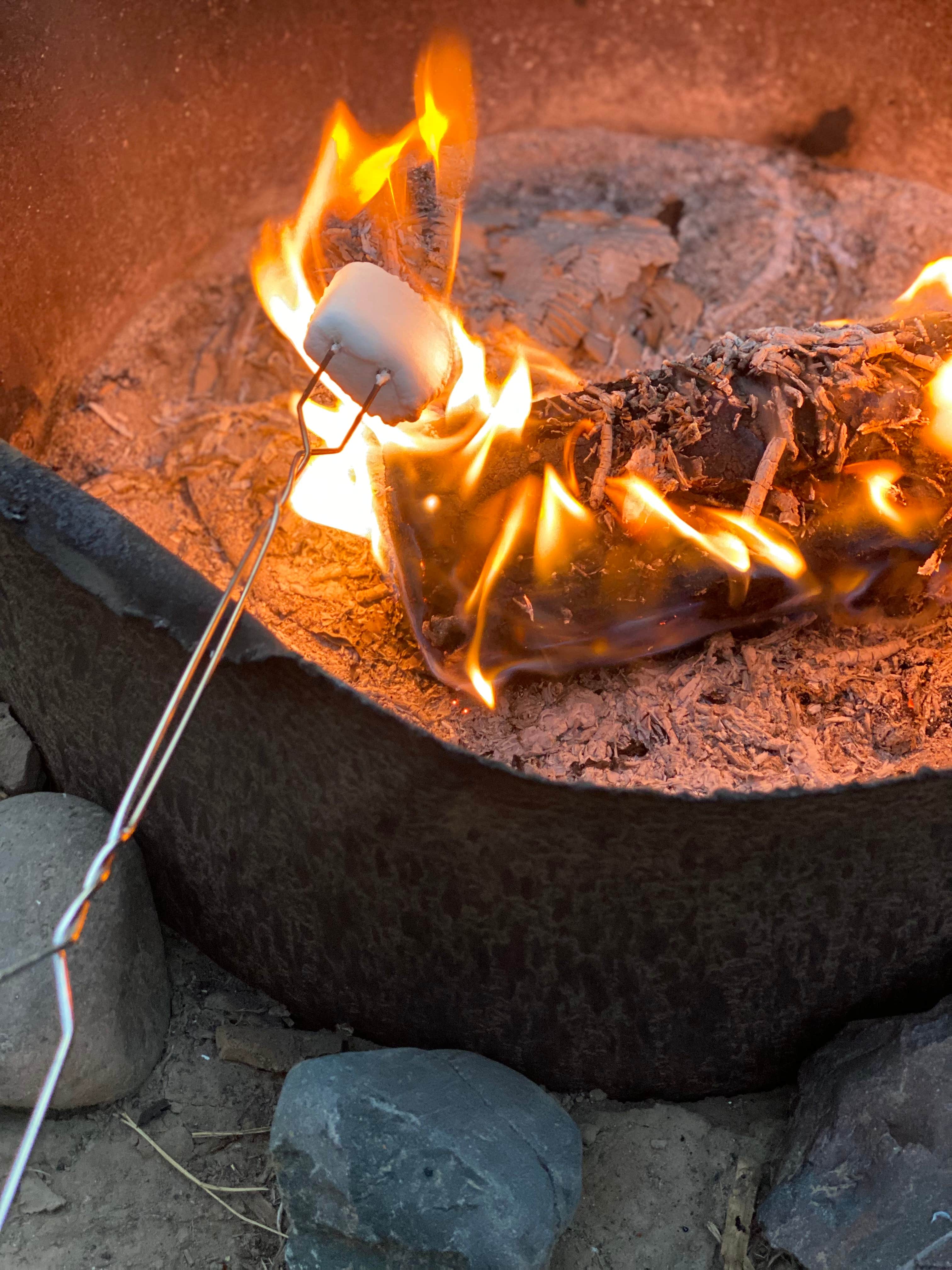 Camper-submitted photo at The Last Resort RV Park & Campground near Pagosa Springs, CO