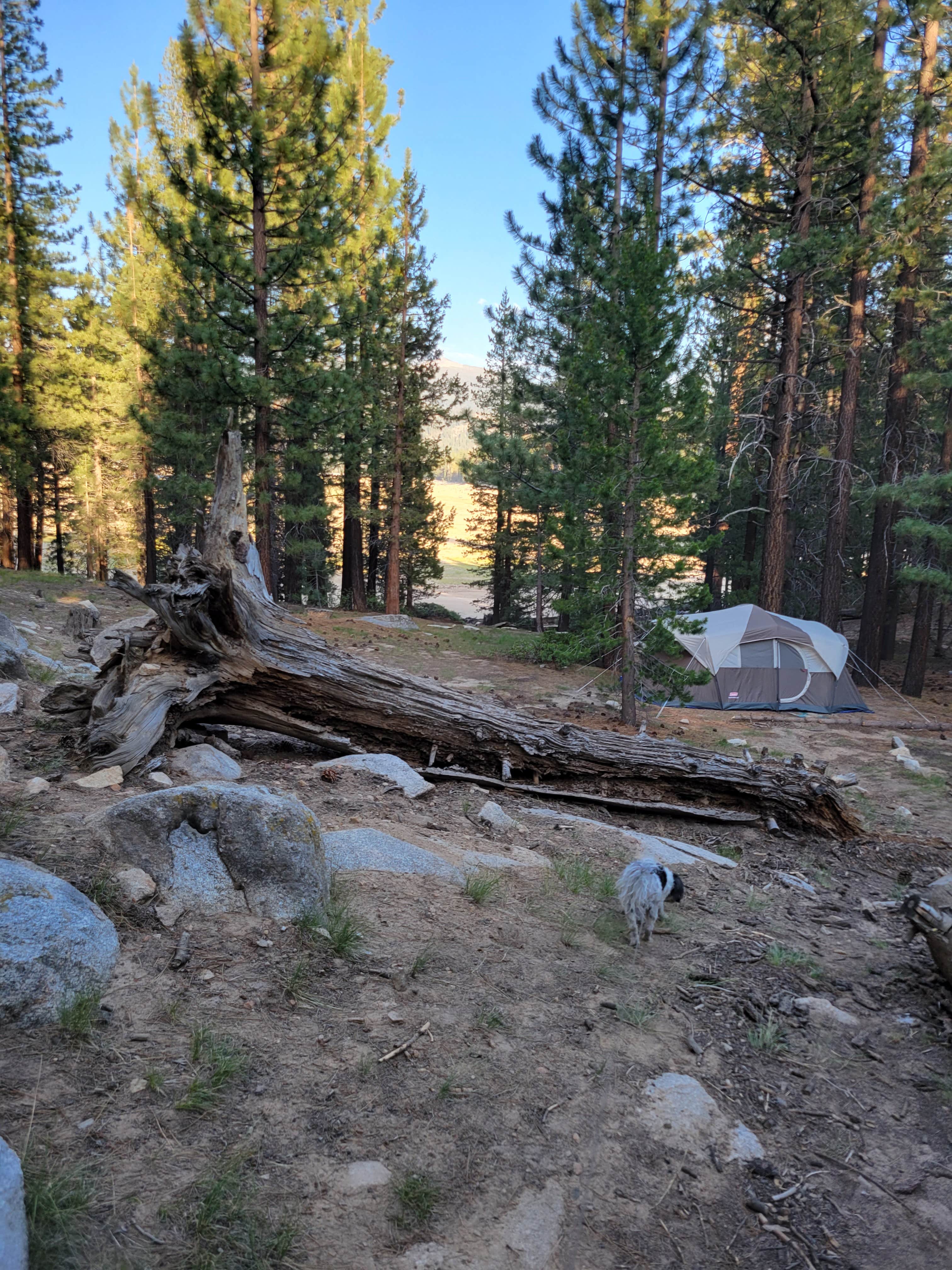 Kali S.'s photo at Vermillion near Mono Hot Springs, CA