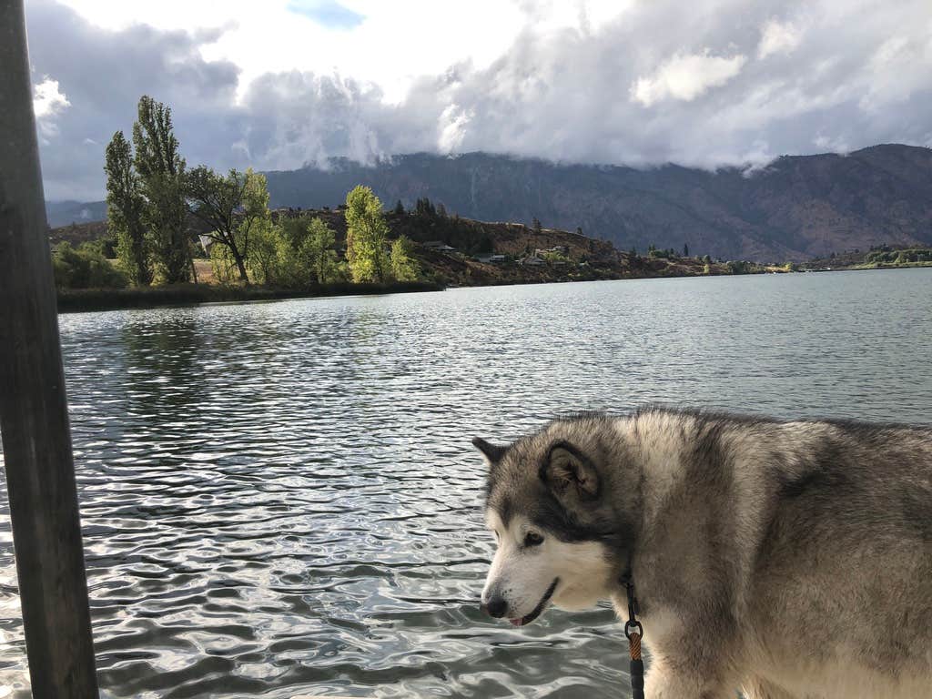 Camper submitted image from Wapato Lake Campground - 1