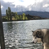 Review photo of Wapato Lake Campground by Kathy B., July 12, 2021