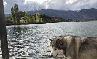 Kathy B.'s photo of camping with pets at Wapato Lake Campground in Washington