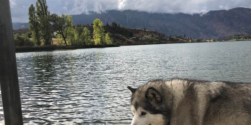 Camper submitted image from Wapato Lake Campground