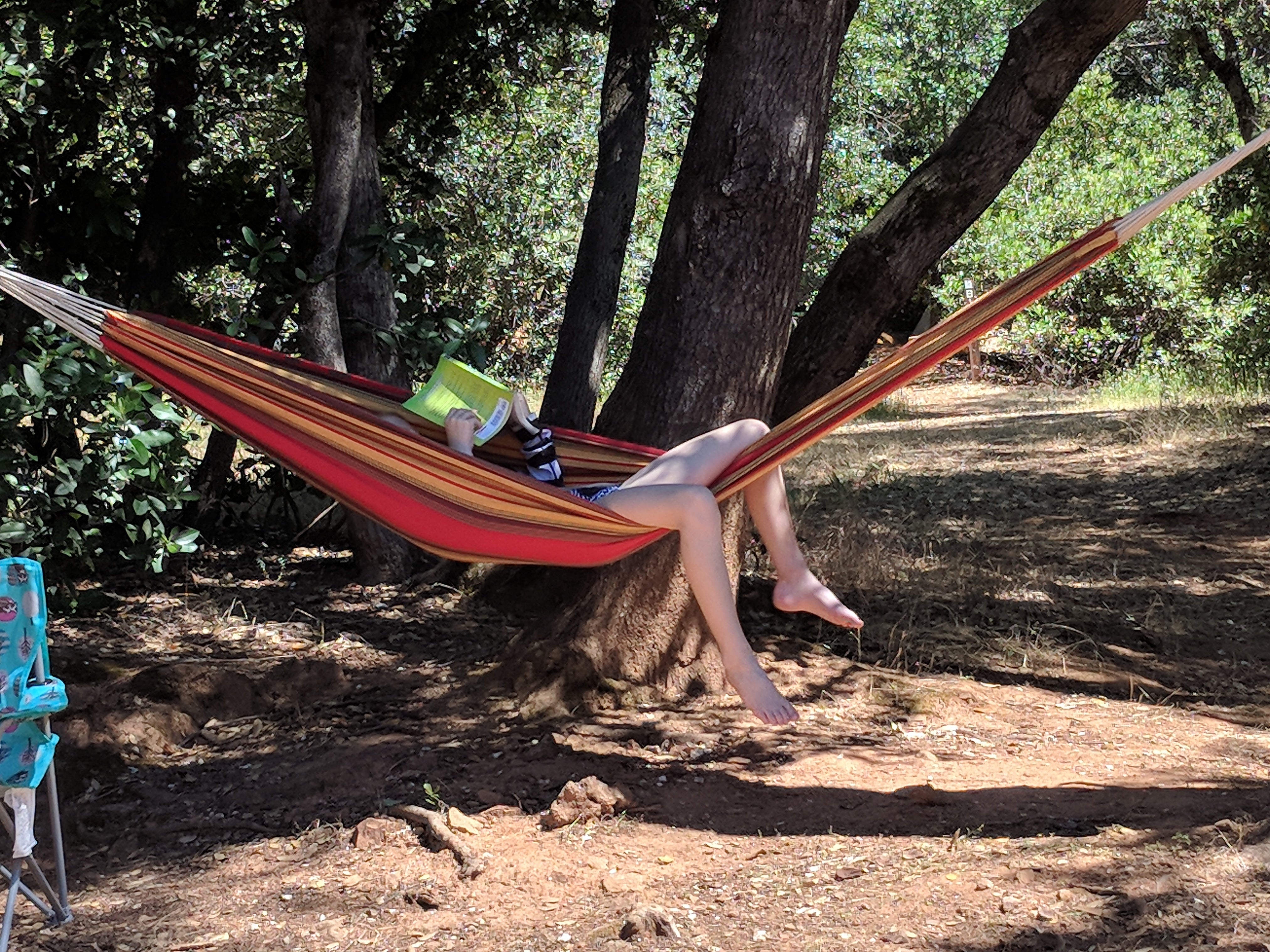 Camper submitted image from Oak Bottom Tent Campground — Whiskeytown-Shasta-Trinity National Recreation Area - 5