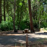 Review photo of Potato Patch Campground by Susan R., July 12, 2021