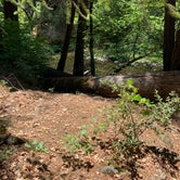 Review photo of Potato Patch Campground by Susan R., July 12, 2021