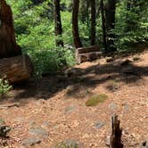 Review photo of Potato Patch Campground by Susan R., July 12, 2021