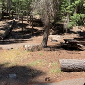 Review photo of Elam Campground by Susan R., July 12, 2021