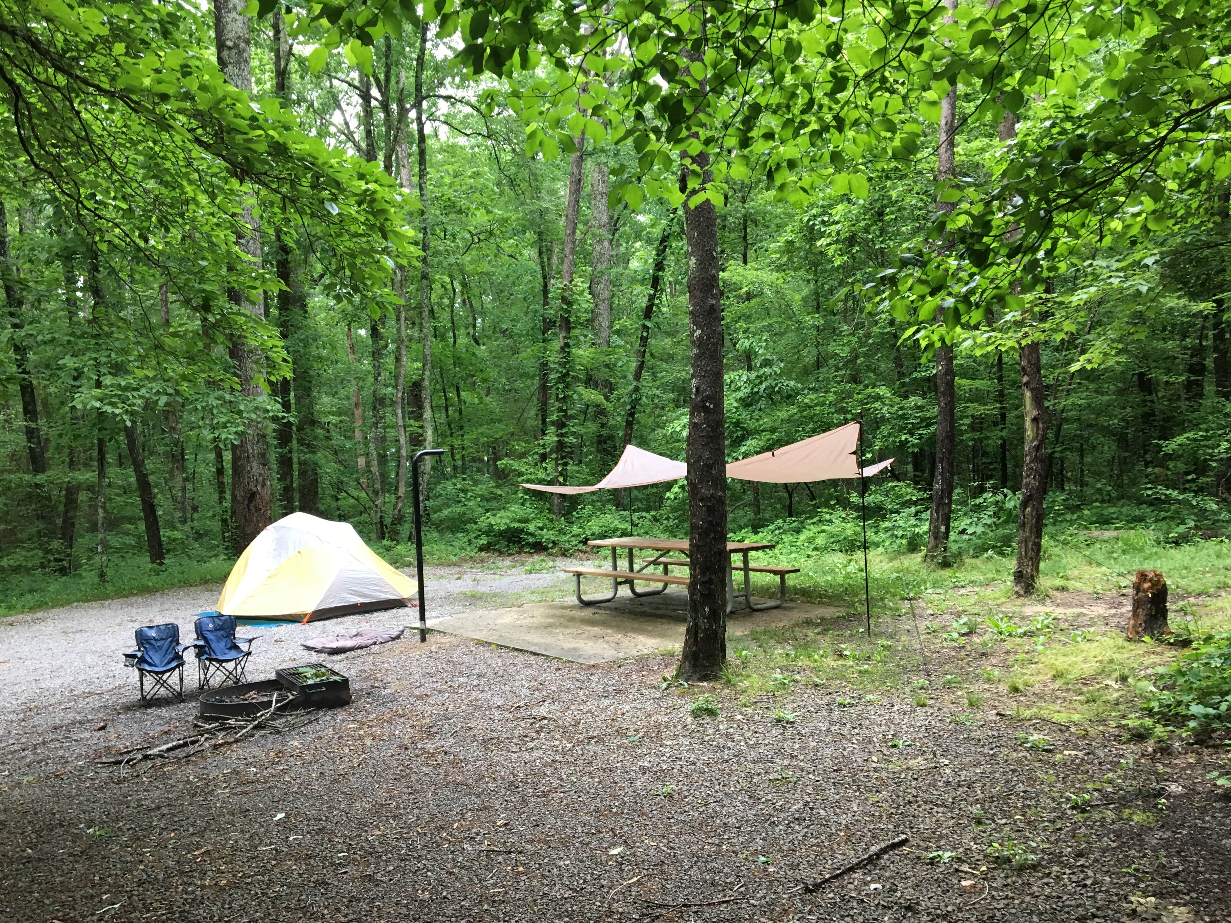 Christy E.'s photo of tent camping at Foster Falls Campground — South Cumberland State Park near Pocahontas, TN