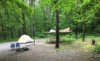 Christy E.'s photo of tent camping at Foster Falls Campground — South Cumberland State Park near Antioch, TN