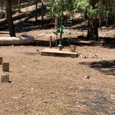 Review photo of Elam Campground by Susan R., July 12, 2021