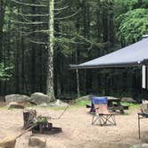 Review photo of George Washington State Campground by Mike , July 12, 2021