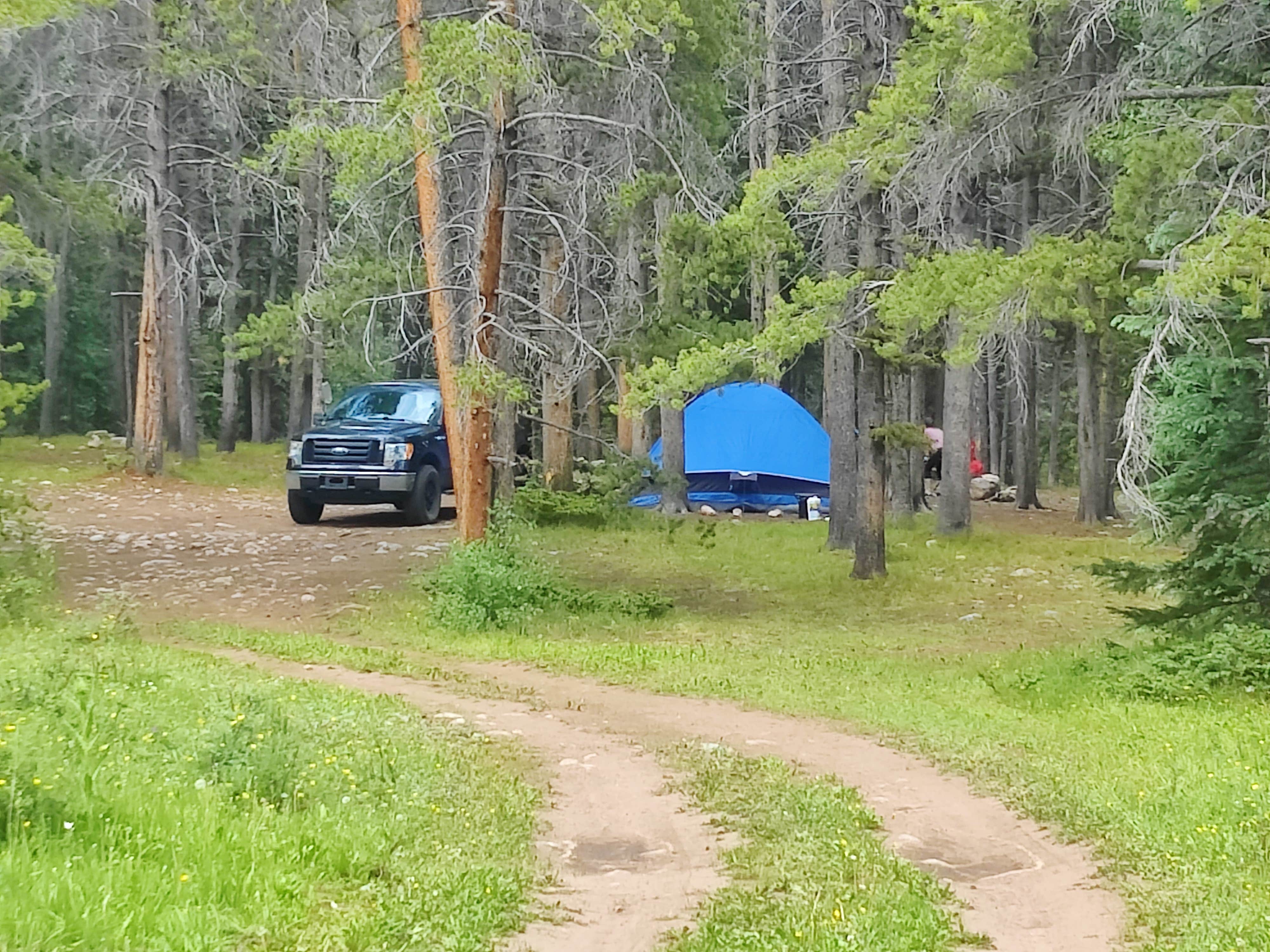 Camper submitted image from Gold Creek - 1
