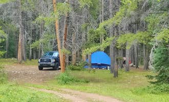 Camping near Needle Creek Ranch: Gold Creek, Pitkin, Colorado