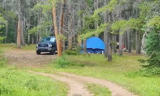 Camping near Comanche: Gold Creek, Pitkin, Colorado