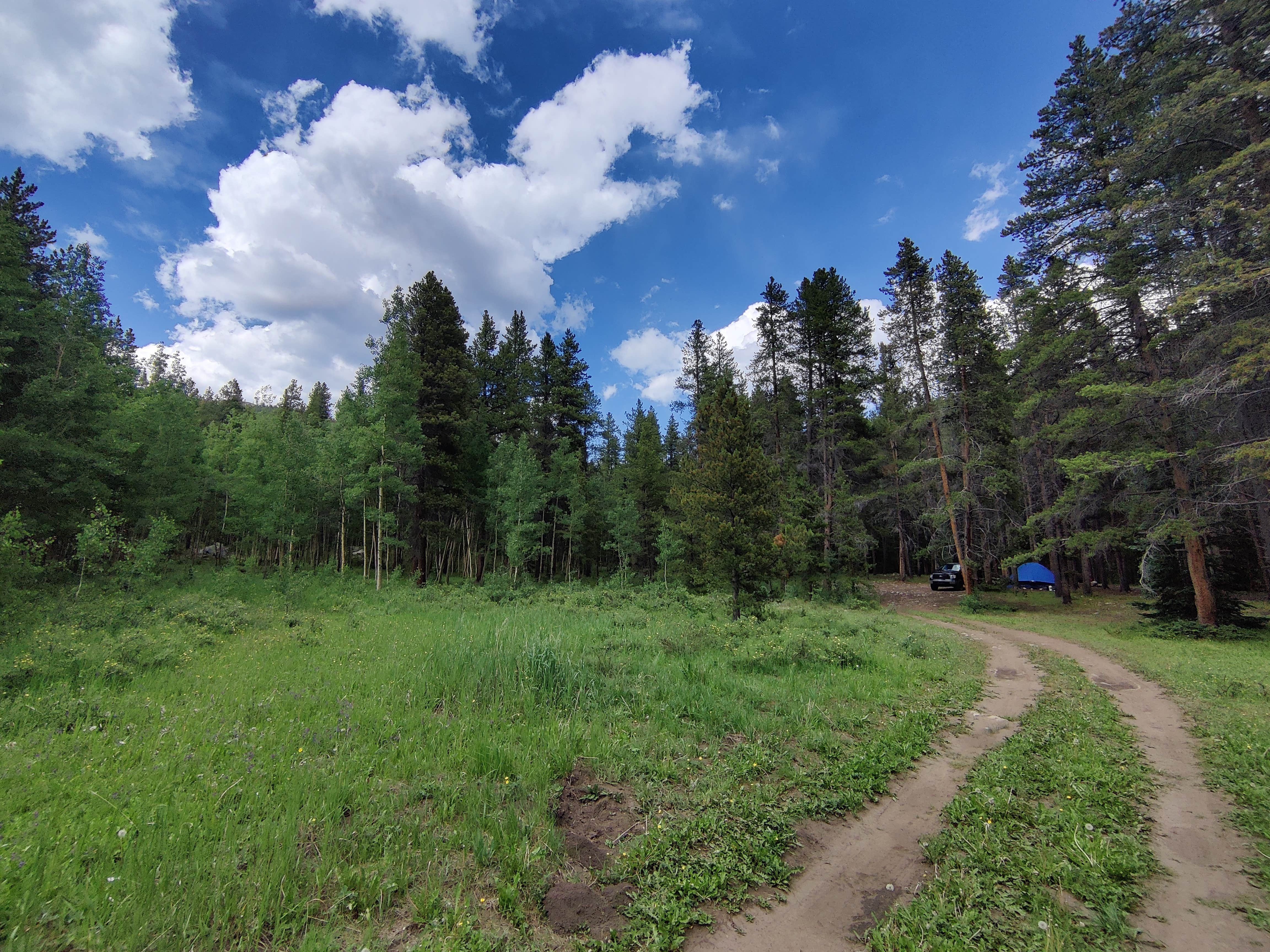 Camper-submitted photo at Gold Creek near Monarch, CO