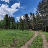 Review photo of Gold Creek by shawn , July 12, 2021
