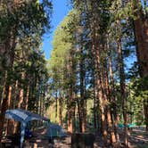 Review photo of Tunnel Campground by Michael S., July 12, 2021
