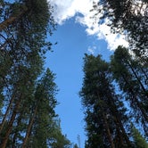 Review photo of Tunnel Campground by Michael S., July 12, 2021