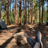 Review photo of Tunnel Campground by Michael S., July 12, 2021