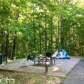 Review photo of Bandy Creek Campground — Big South Fork National River and Recreation Area by Christy E., June 14, 2018