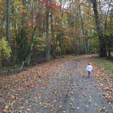 Review photo of Atsion Cabins — Wharton State Forest by meghan G., July 12, 2021