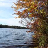 Review photo of Atsion Cabins — Wharton State Forest by meghan G., July 12, 2021