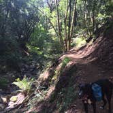 Review photo of Uvas Canyon County Park by DEREK B., May 13, 2015