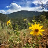 Review photo of East Portal Campground at Estes Park by Julia B., July 18, 2016