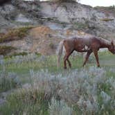 Review photo of Cottonwood Campground — Theodore Roosevelt National Park by jim B., July 12, 2021