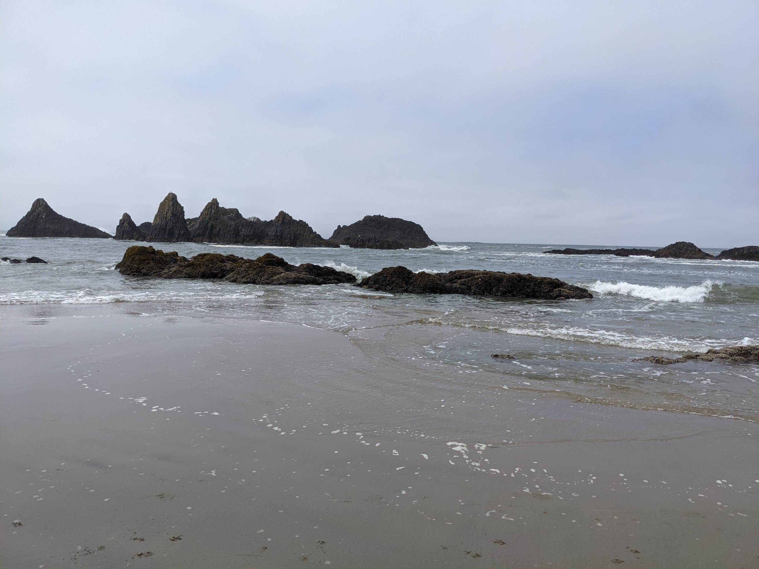 Camper submitted image from Seal Rock RV Cove - 3