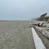Review photo of Kalaloch Campground - group — Olympic National Park by Evan P., July 13, 2021