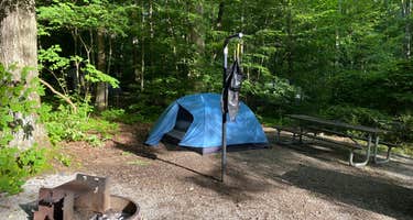 8roj7gys7kn6wm 8roj7gys7kn6wm