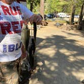 Review photo of Sequoia National Forest Hume Lake Campground by Robert S., July 13, 2021