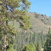 Review photo of Sequoia National Forest Hume Lake Campground by Robert S., July 13, 2021