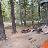 Review photo of Sequoia National Forest Hume Lake Campground by Robert S., July 13, 2021