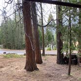 Review photo of Sequoia National Forest Hume Lake Campground by Robert S., July 13, 2021