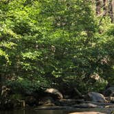 Review photo of Sequoia National Forest Hume Lake Campground by Robert S., July 13, 2021