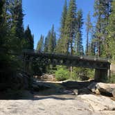 Review photo of Sequoia National Forest Hume Lake Campground by Robert S., July 13, 2021