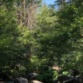 Review photo of Sequoia National Forest Hume Lake Campground by Robert S., July 13, 2021