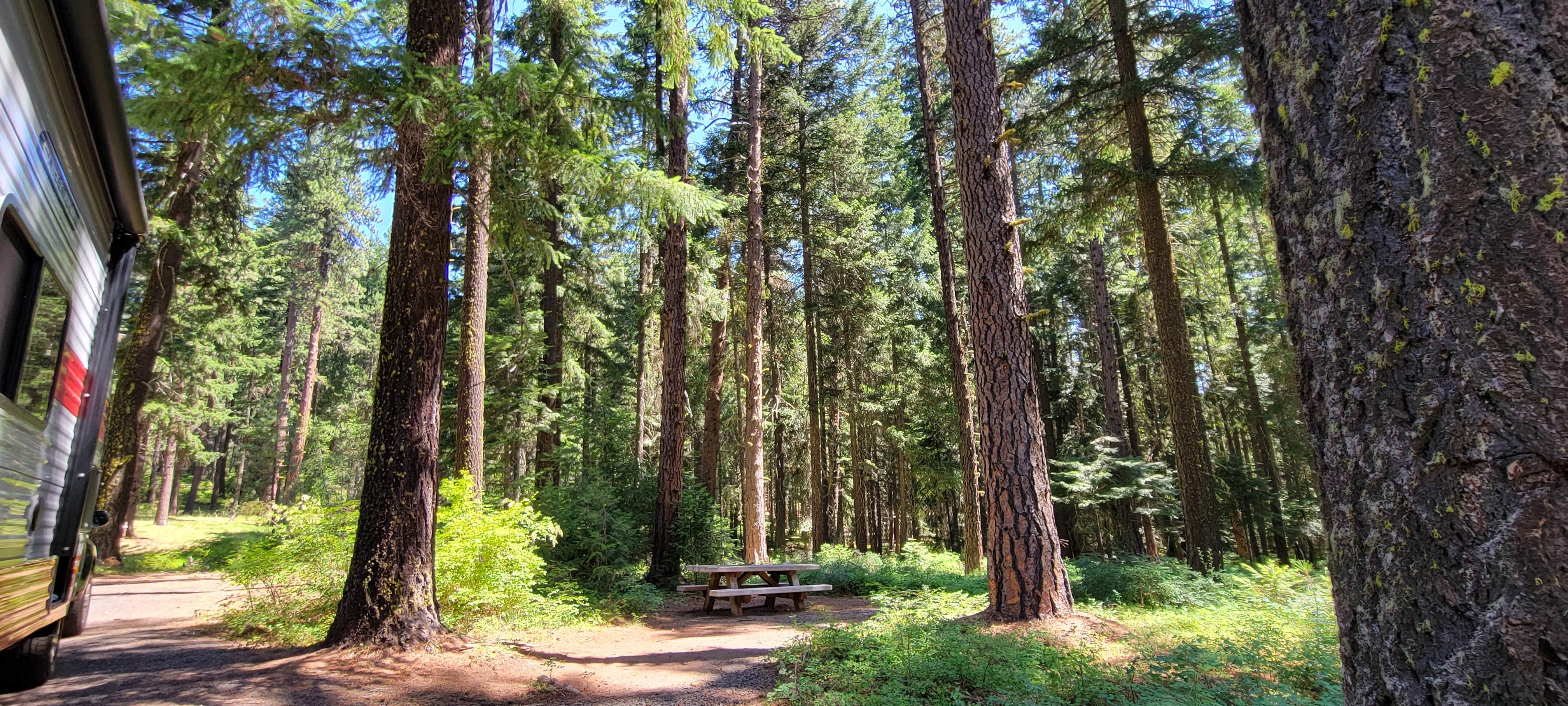 Camper-submitted photo at Spring Drive RV Campground near Moro, OR