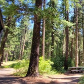 Review photo of Spring Drive RV Campground by Shonni N., July 13, 2021