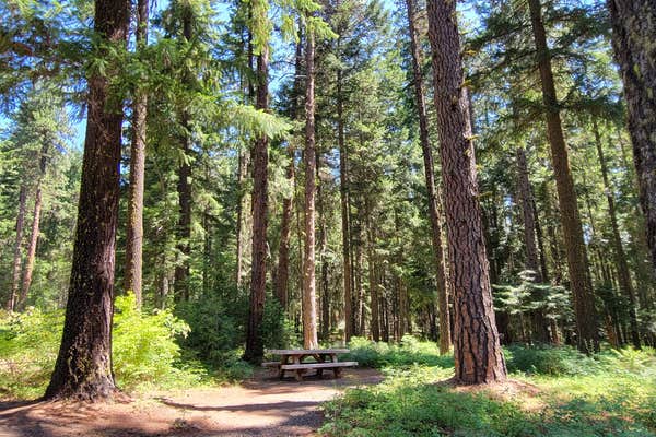 Spring Campground Map Oregon Spring Drive RV Campground | Government Camp, Oregon