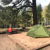 Review photo of North Rim Campground — Grand Canyon National Park by Lena L., June 14, 2018